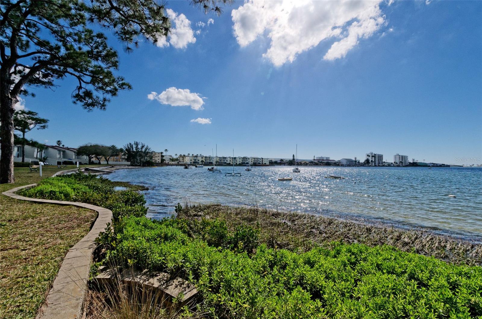 2700 BAYSHORE BLVD #6107, DUNEDIN, FL, 34698