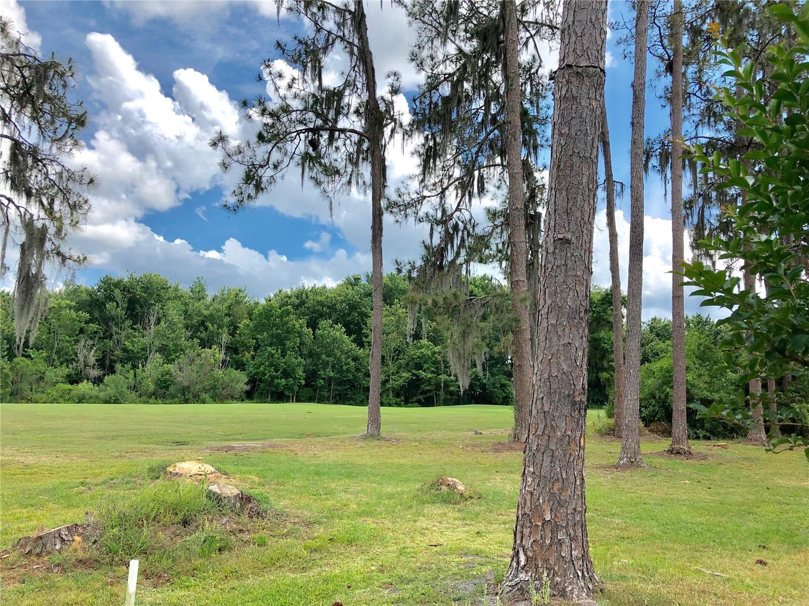 5804 AUTUMN SHIRE DR, ZEPHYRHILLS, FL, 33541