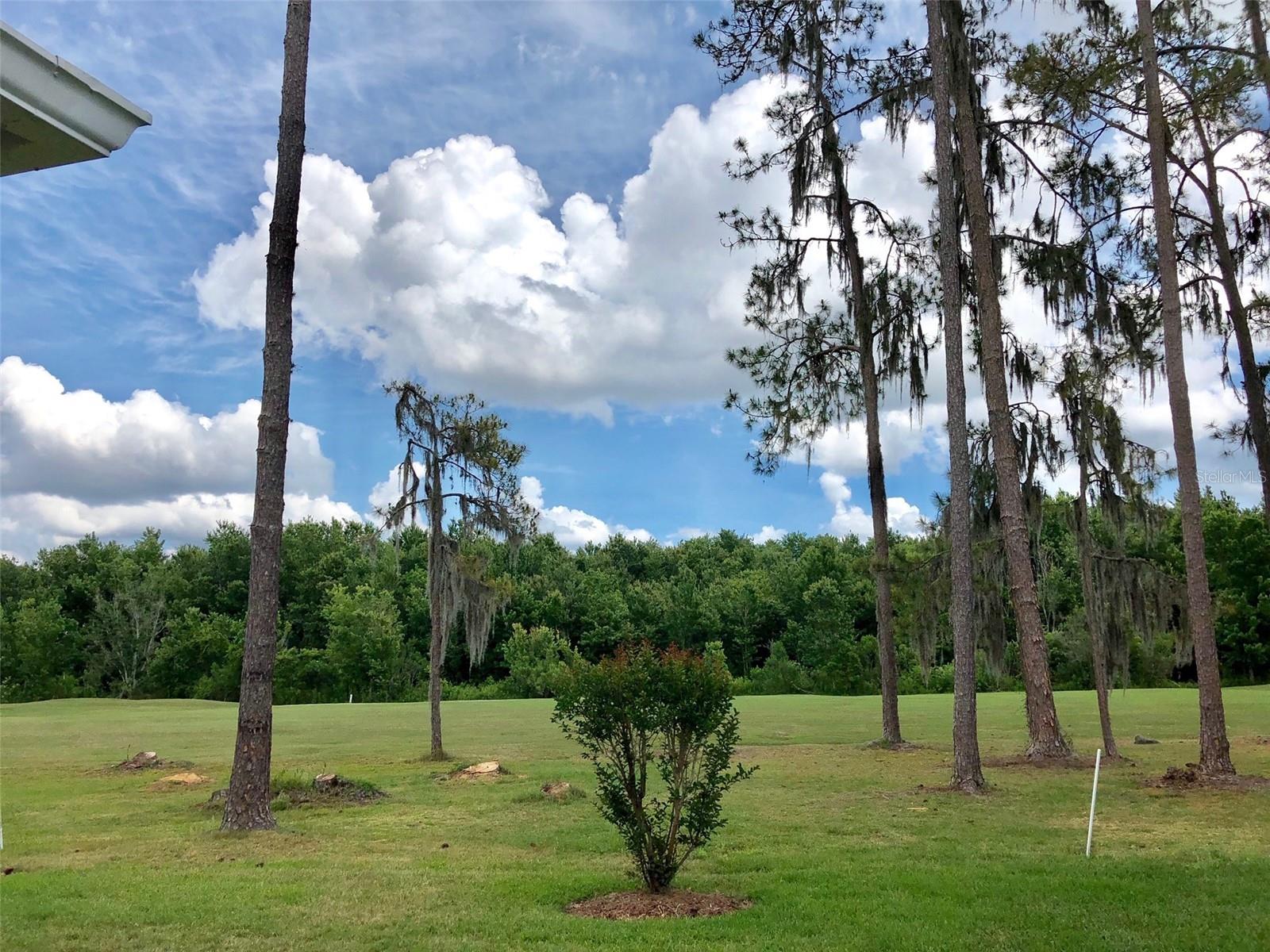 5804 AUTUMN SHIRE DR, ZEPHYRHILLS, FL, 33541