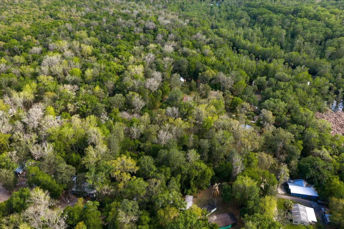 TBD NE 189TH ST, FORT MC COY, FL, 32134