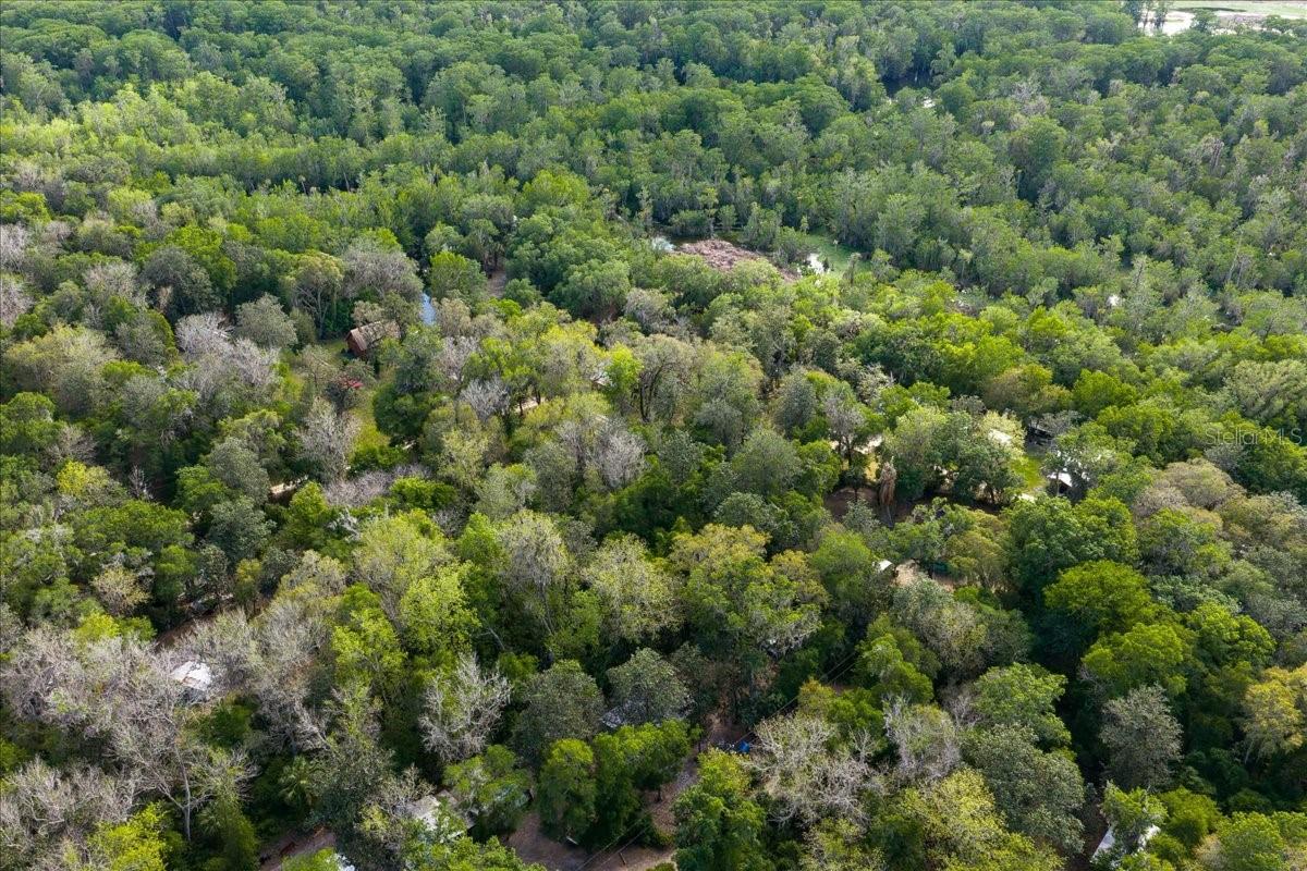 TBD NE 189TH ST, FORT MC COY, FL, 32134