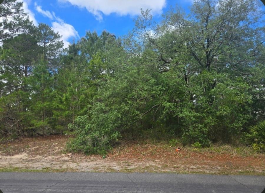 4113 PORTILLO RD, SPRING HILL, FL, 34608