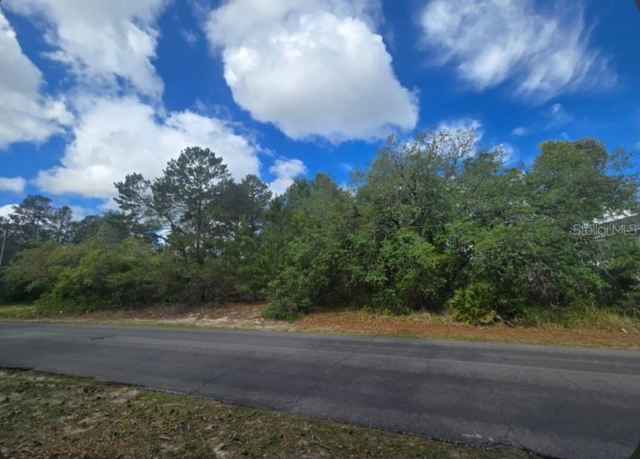 4113 PORTILLO RD, SPRING HILL, FL, 34608