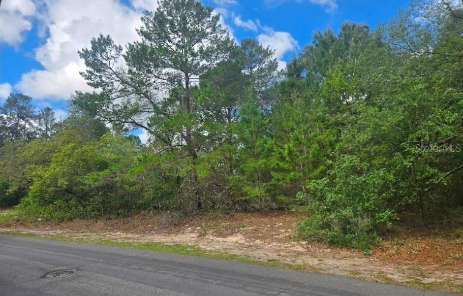 4113 PORTILLO RD, SPRING HILL, FL, 34608