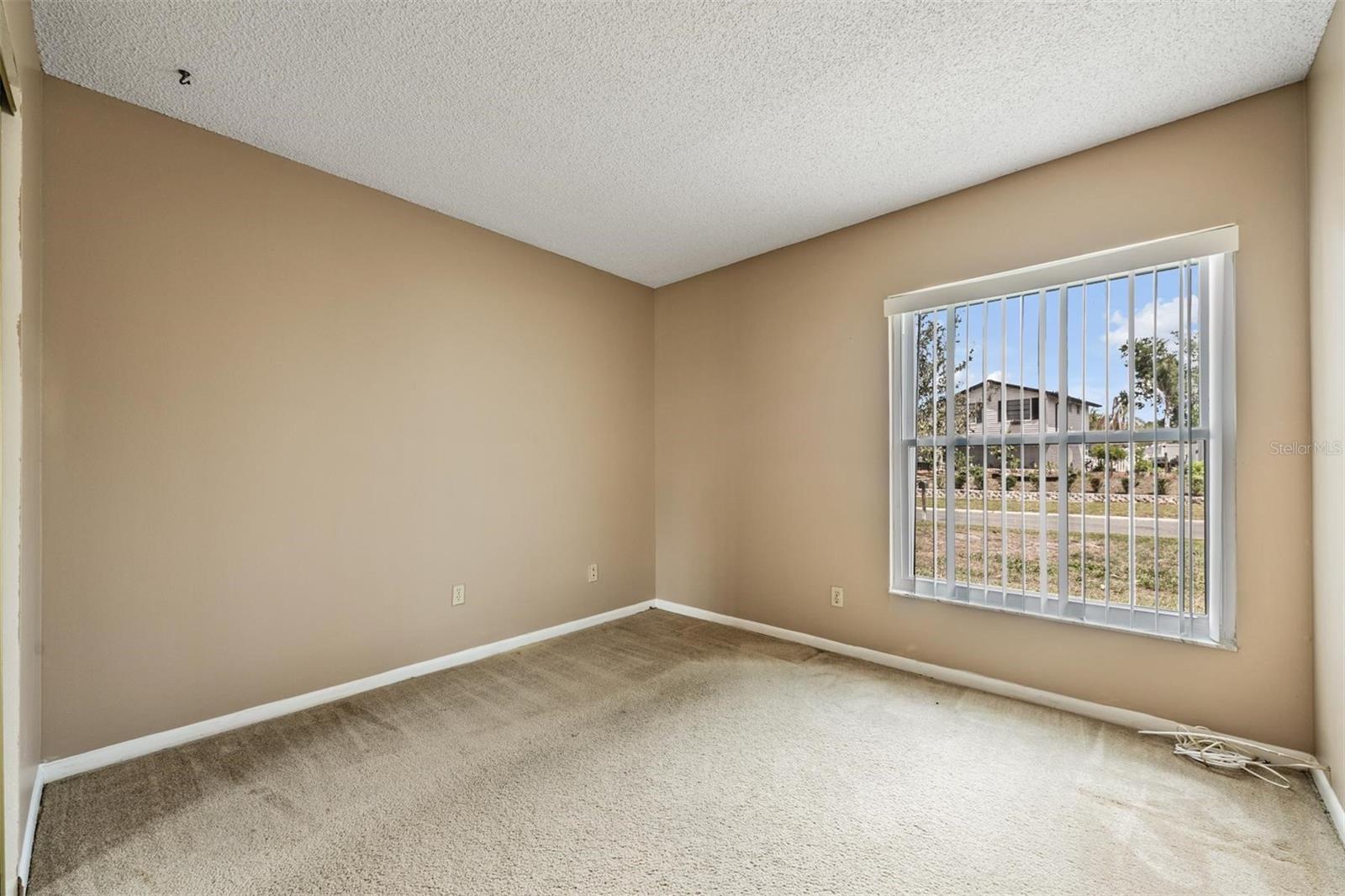 3916 CASABA LOOP, VALRICO, FL, 33596