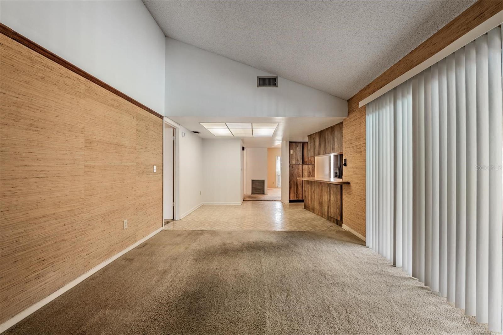 3916 CASABA LOOP, VALRICO, FL, 33596