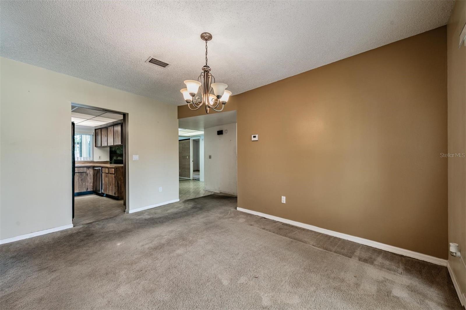 3916 CASABA LOOP, VALRICO, FL, 33596