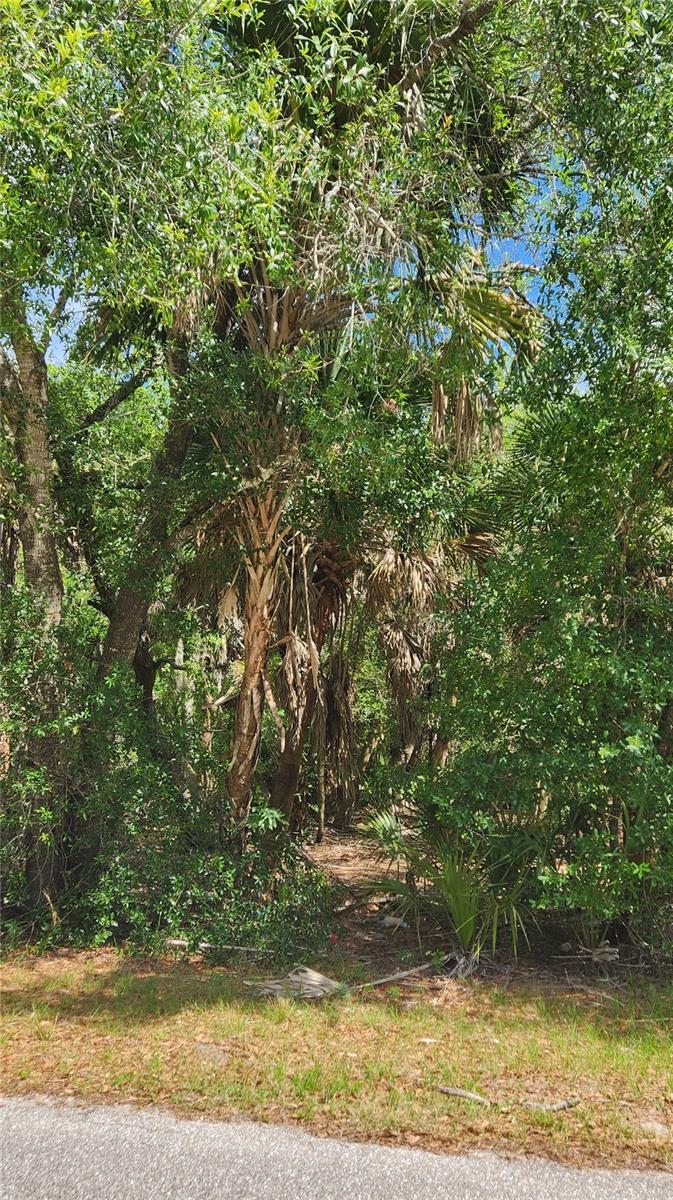 23190 GLEN AVE, PUNTA GORDA, FL, 33980