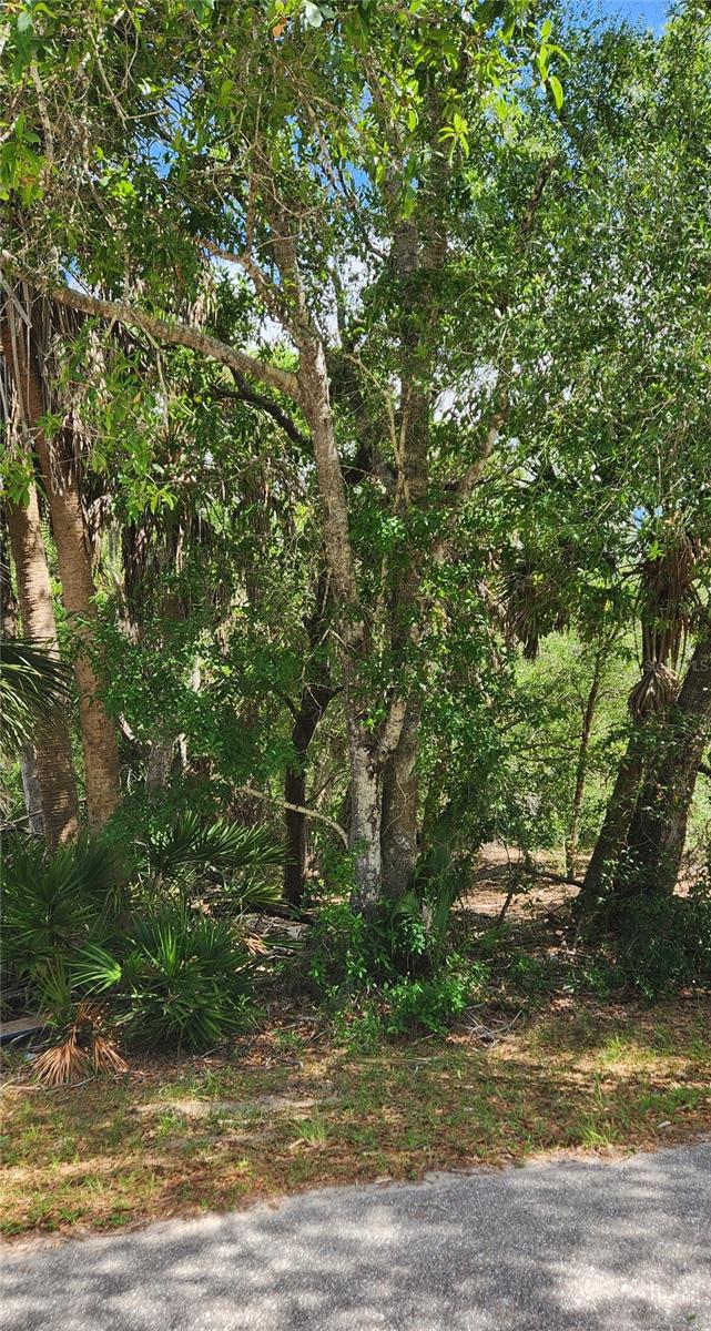 23190 GLEN AVE, PUNTA GORDA, FL, 33980