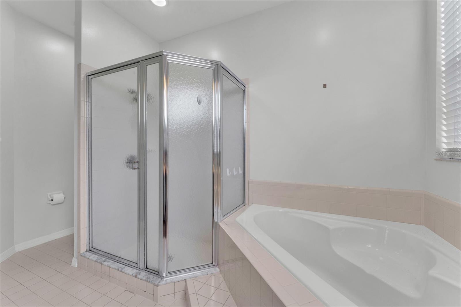 3133 STONEWATER DR #3133, LAKELAND, FL, 33803