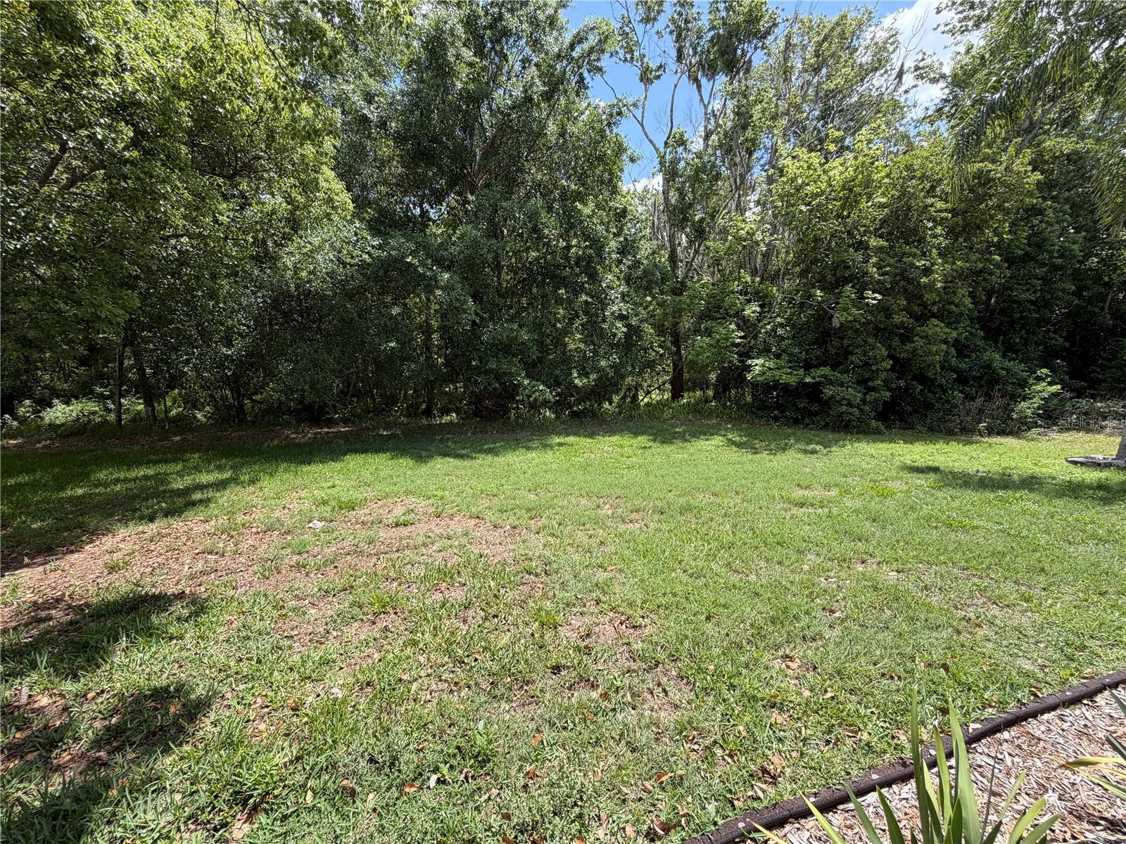 1616 KINSMERE DR, TRINITY, FL, 34655