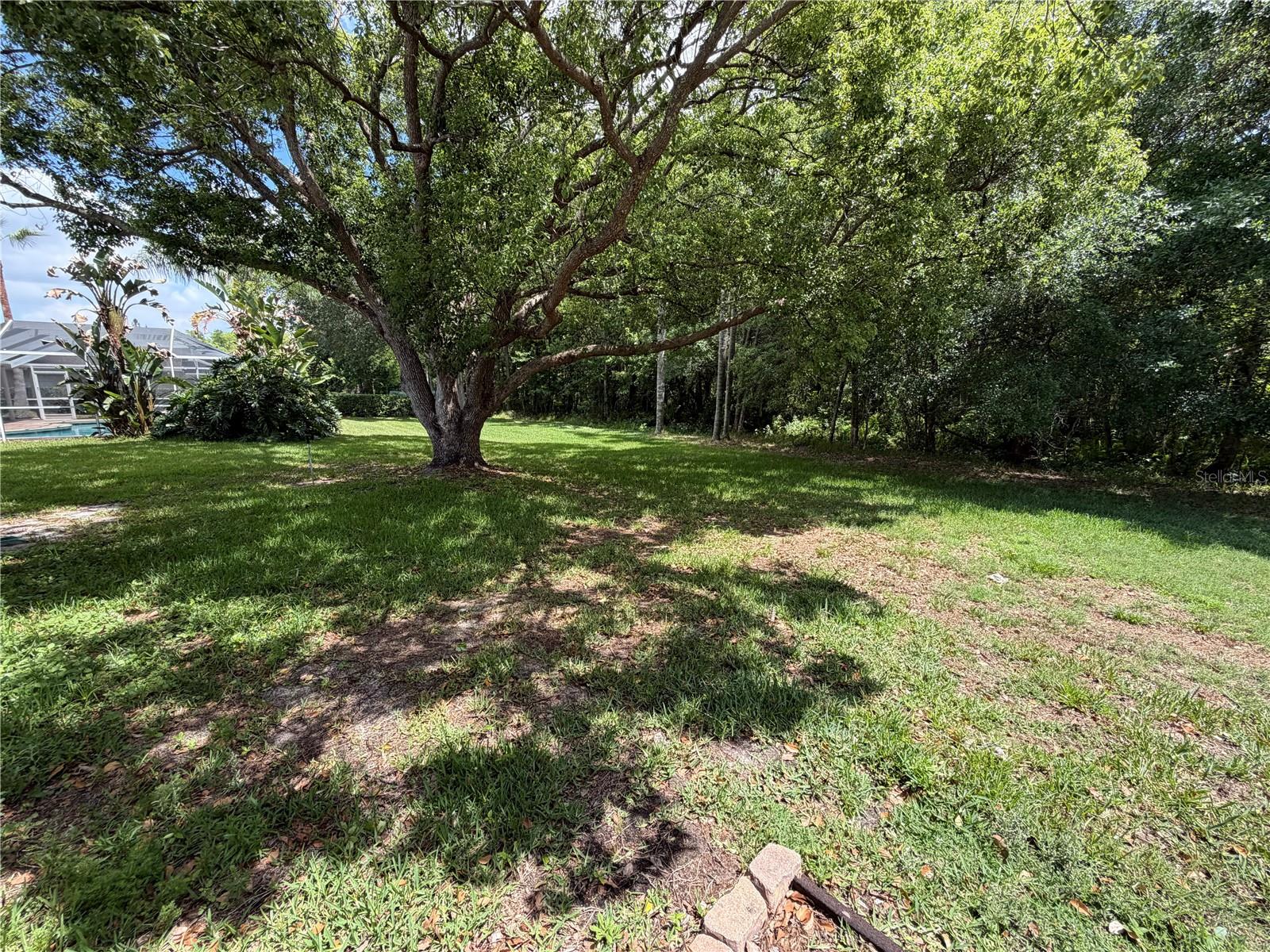 1616 KINSMERE DR, TRINITY, FL, 34655