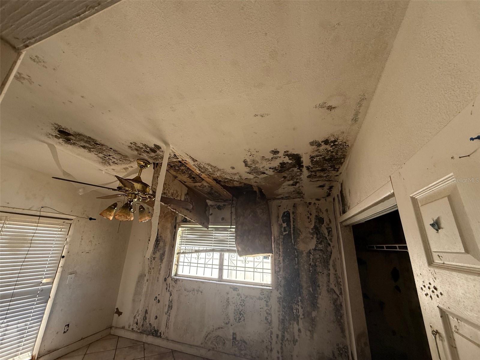 4522 CARTER ST, ORLANDO, FL, 32811