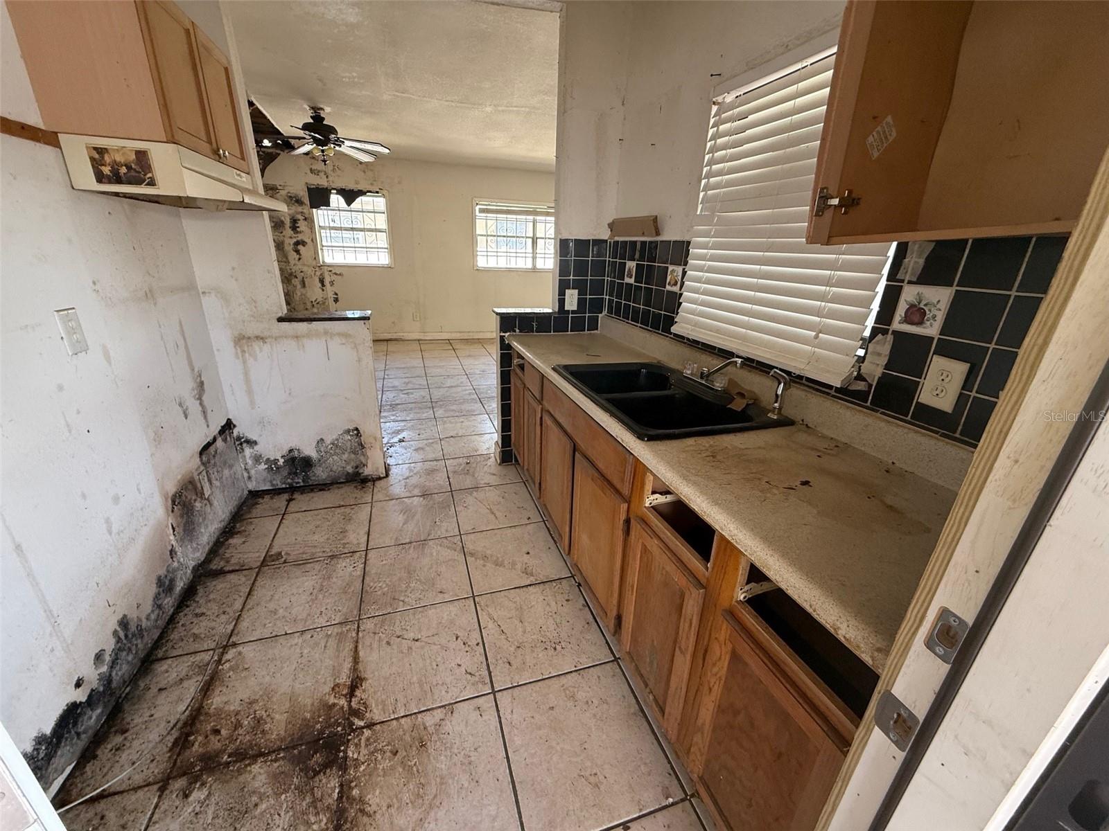 4522 CARTER ST, ORLANDO, FL, 32811