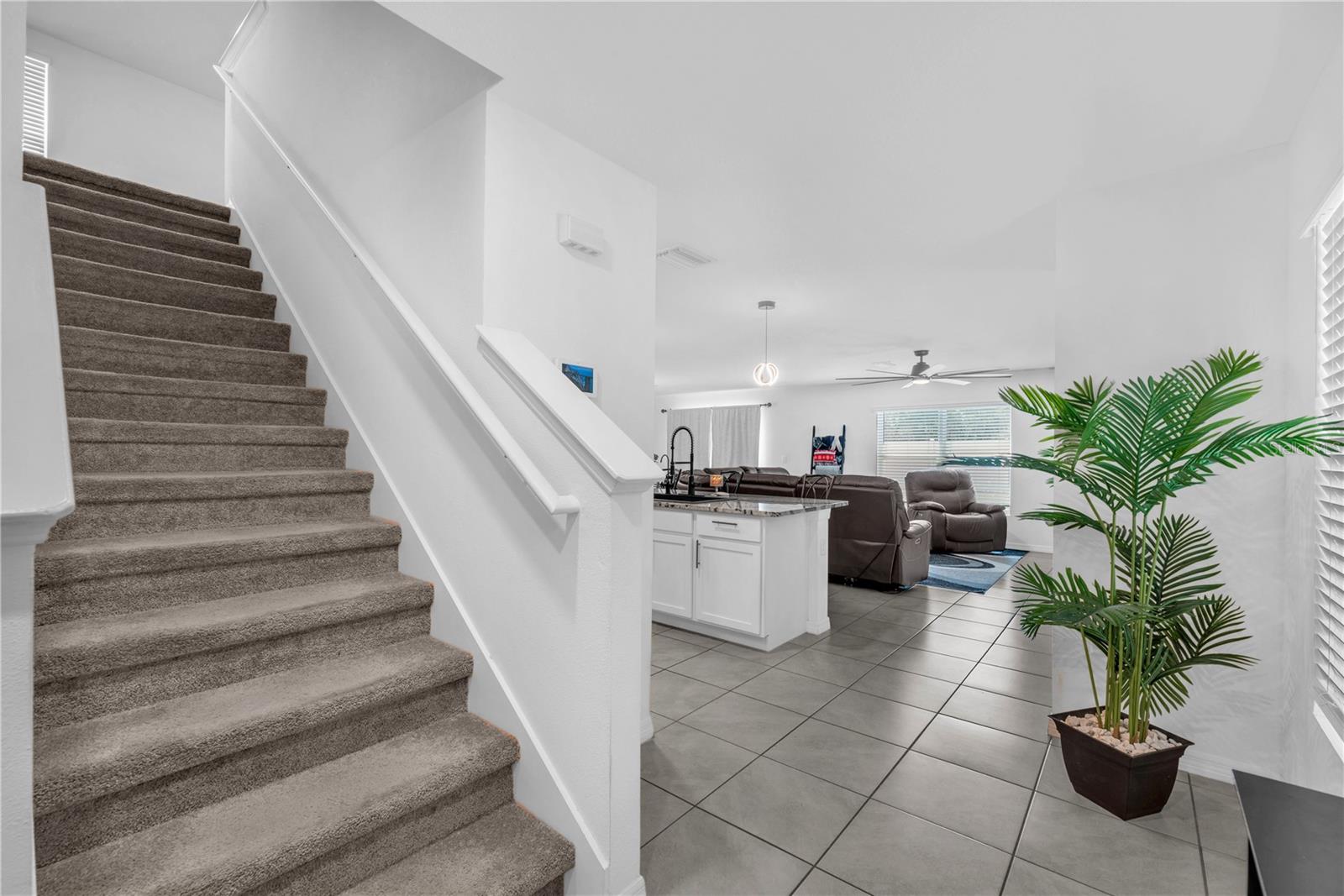 12169 DOWNY BIRCH DR, RIVERVIEW, FL, 33569