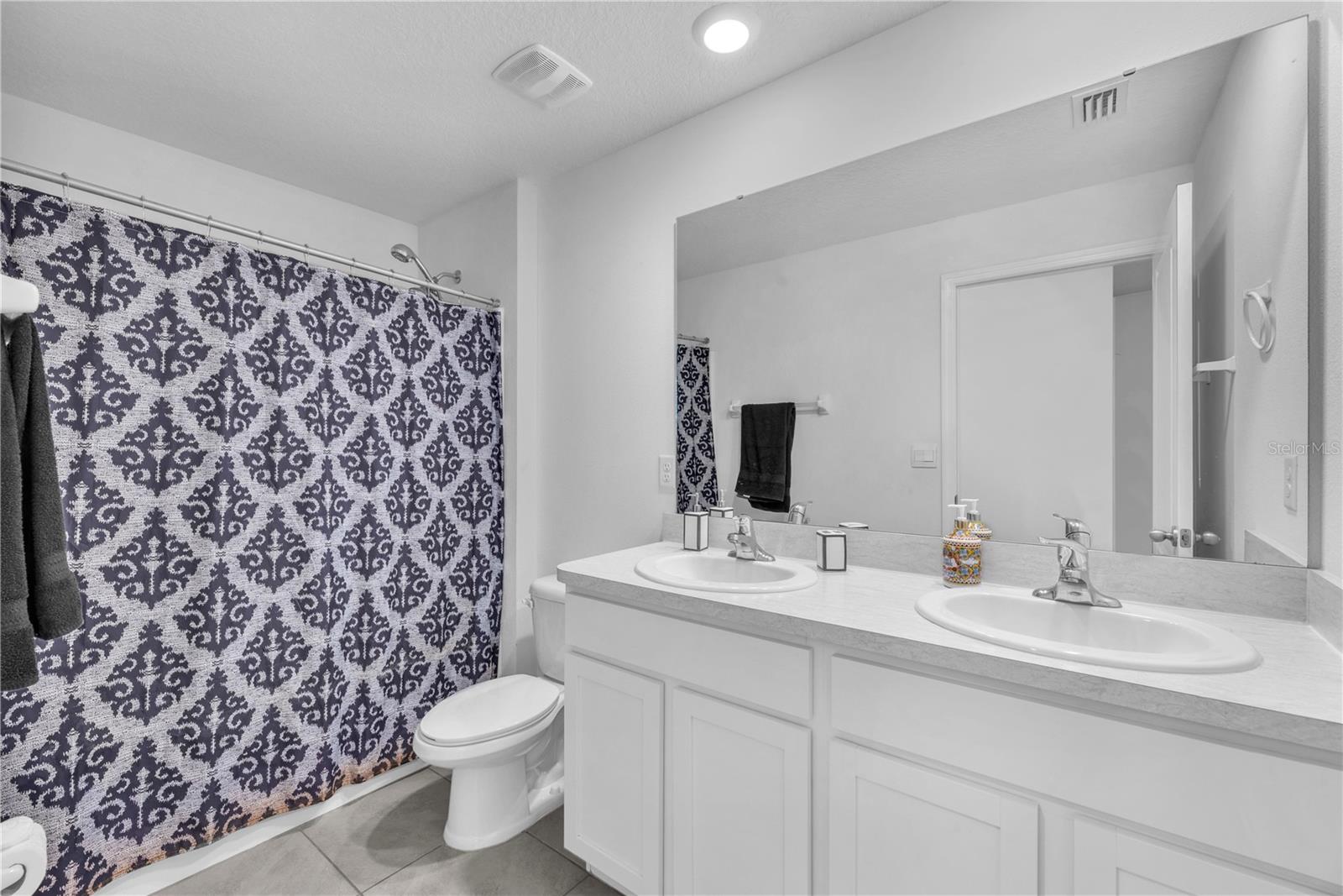 12169 DOWNY BIRCH DR, RIVERVIEW, FL, 33569