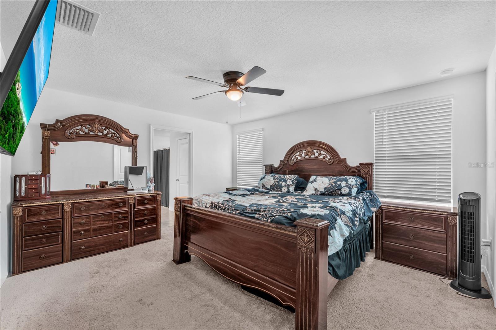 12169 DOWNY BIRCH DR, RIVERVIEW, FL, 33569