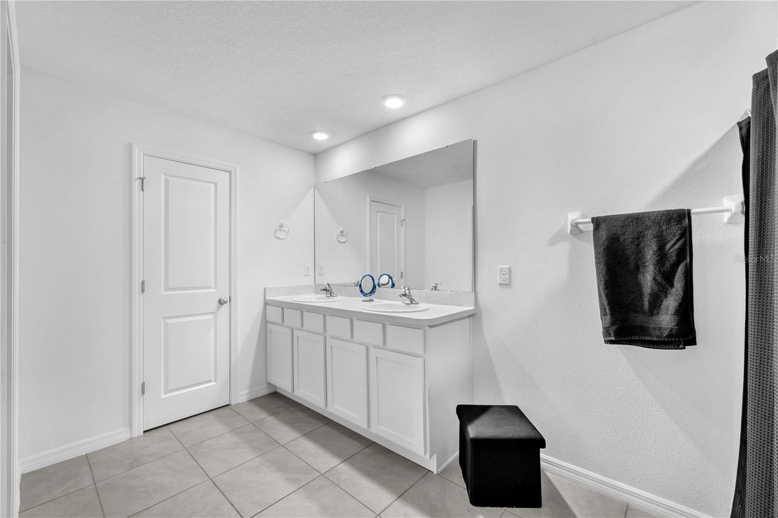 12169 DOWNY BIRCH DR, RIVERVIEW, FL, 33569