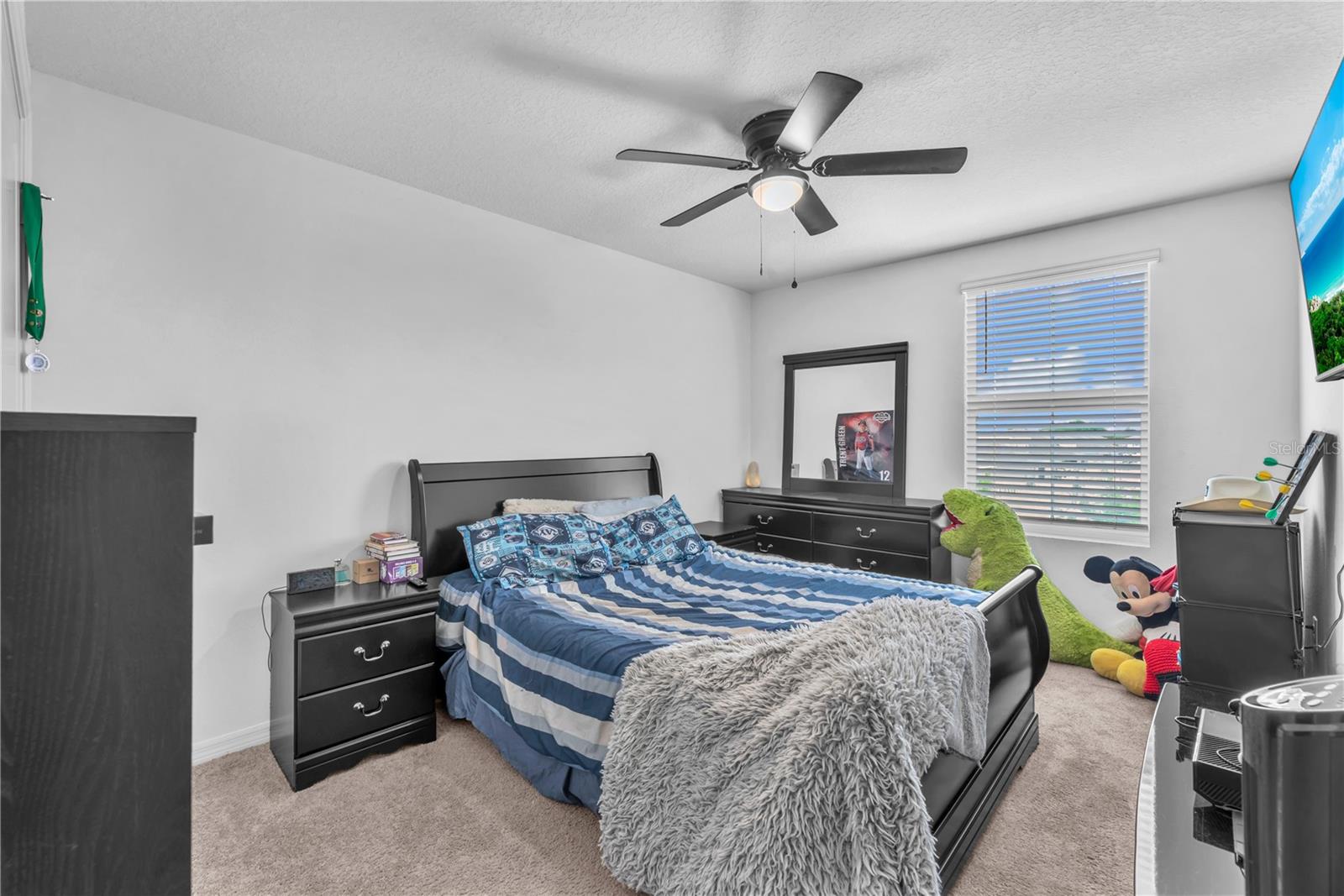 12169 DOWNY BIRCH DR, RIVERVIEW, FL, 33569