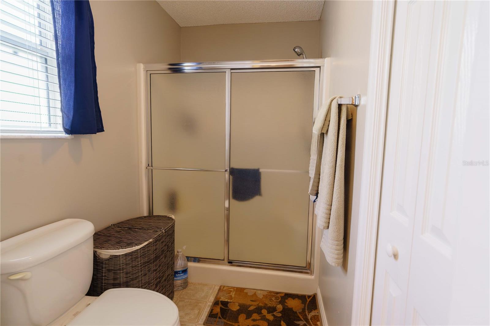 16980 SE 96TH CHAPELWOOD CIR, THE VILLAGES, FL, 32162