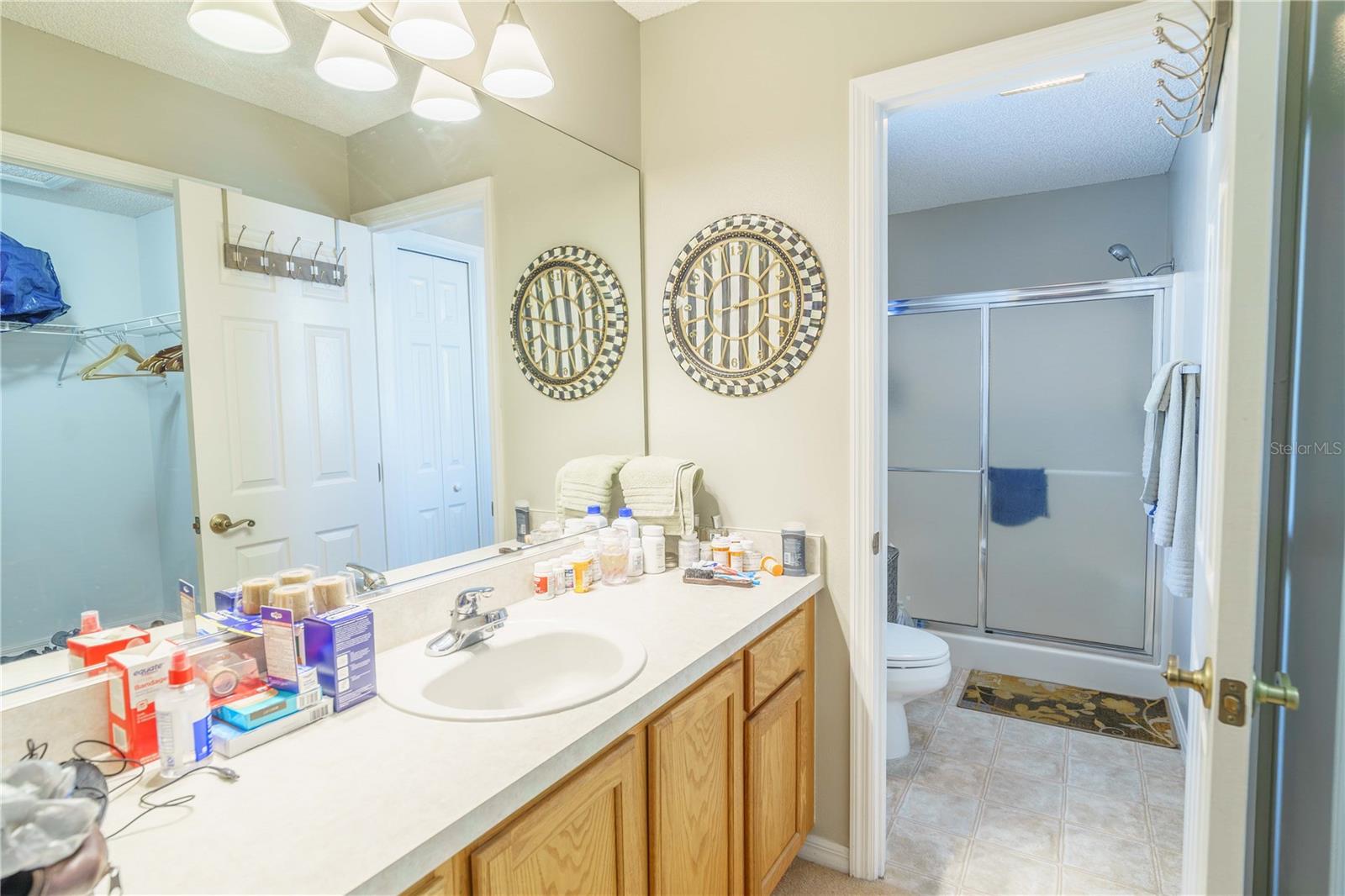 16980 SE 96TH CHAPELWOOD CIR, THE VILLAGES, FL, 32162