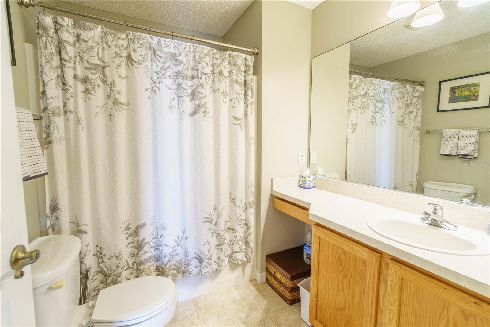 16980 SE 96TH CHAPELWOOD CIR, THE VILLAGES, FL, 32162