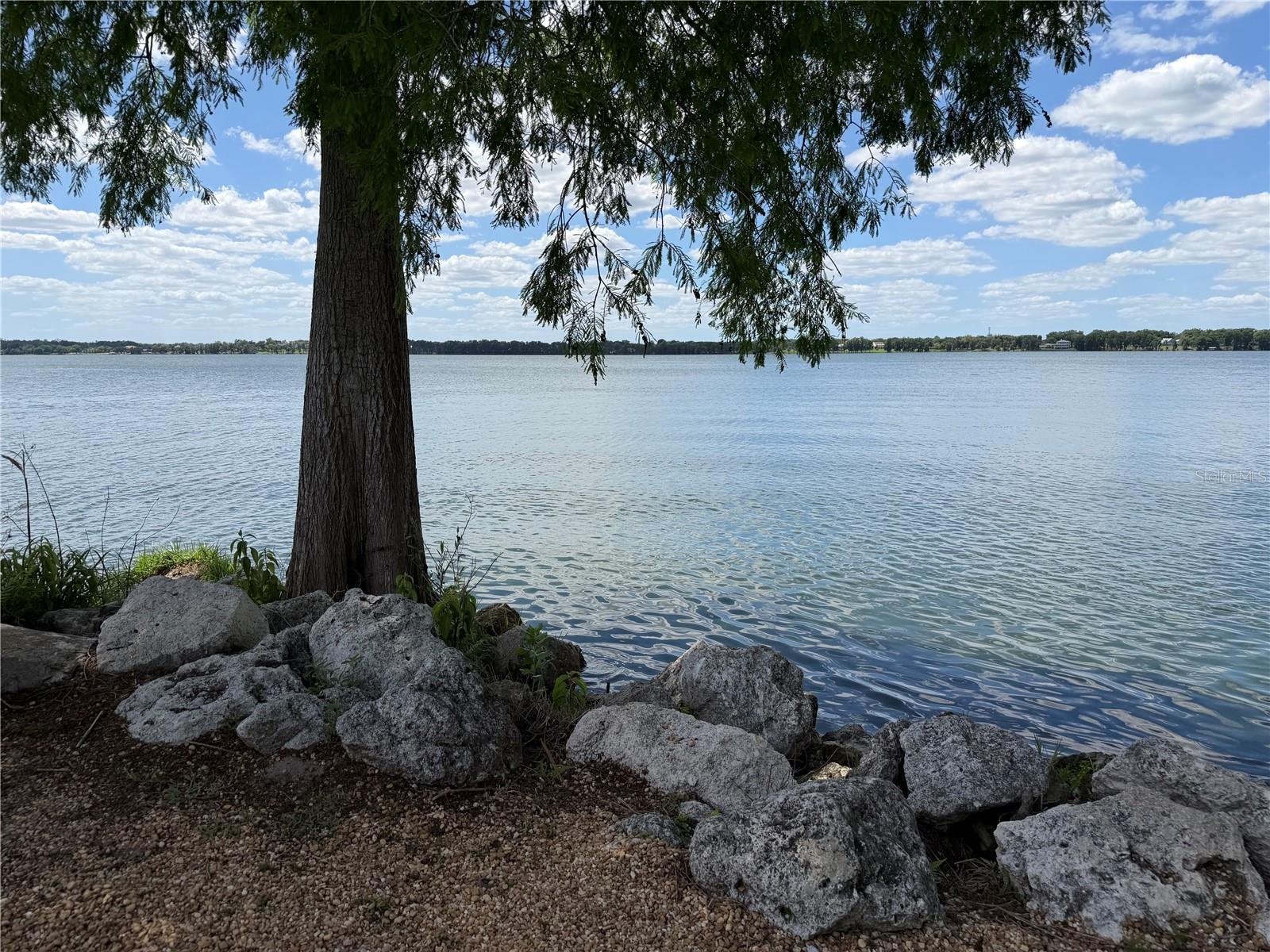 12322 STONELAKE RANCH BLVD, THONOTOSASSA, FL, 33592