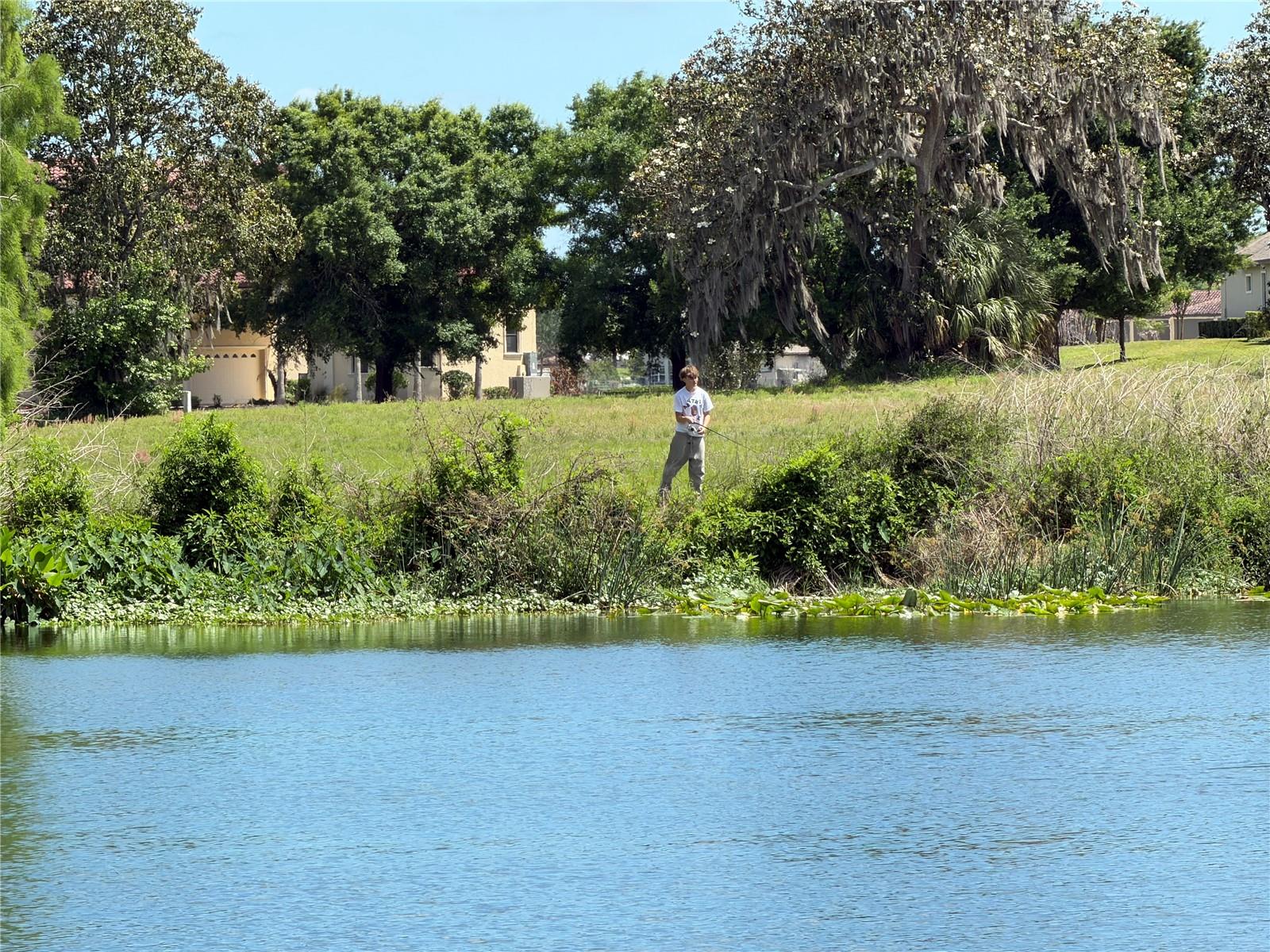 12322 STONELAKE RANCH BLVD, THONOTOSASSA, FL, 33592