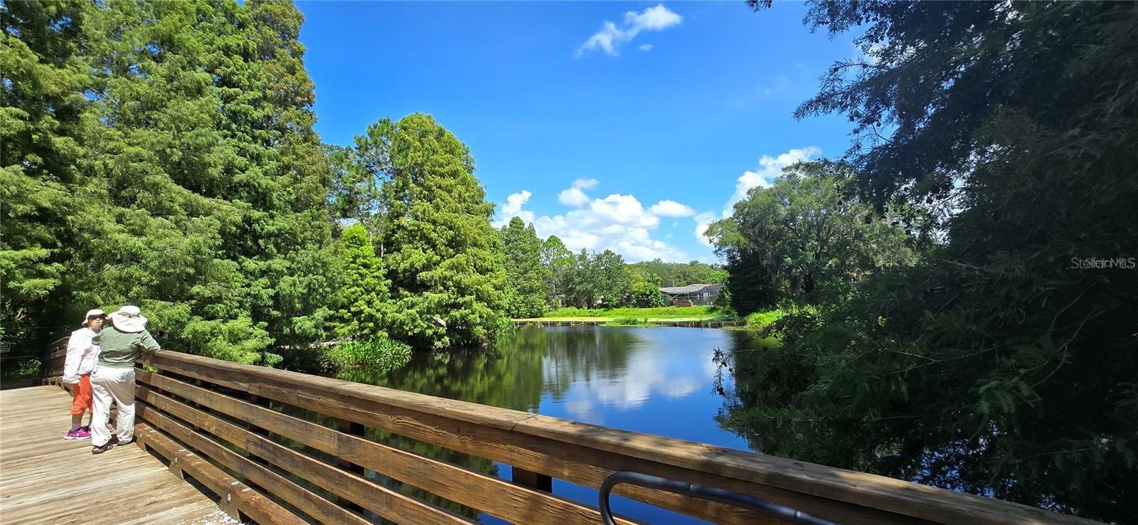 2625 STATE ROAD 590 #2413, CLEARWATER, FL, 33759