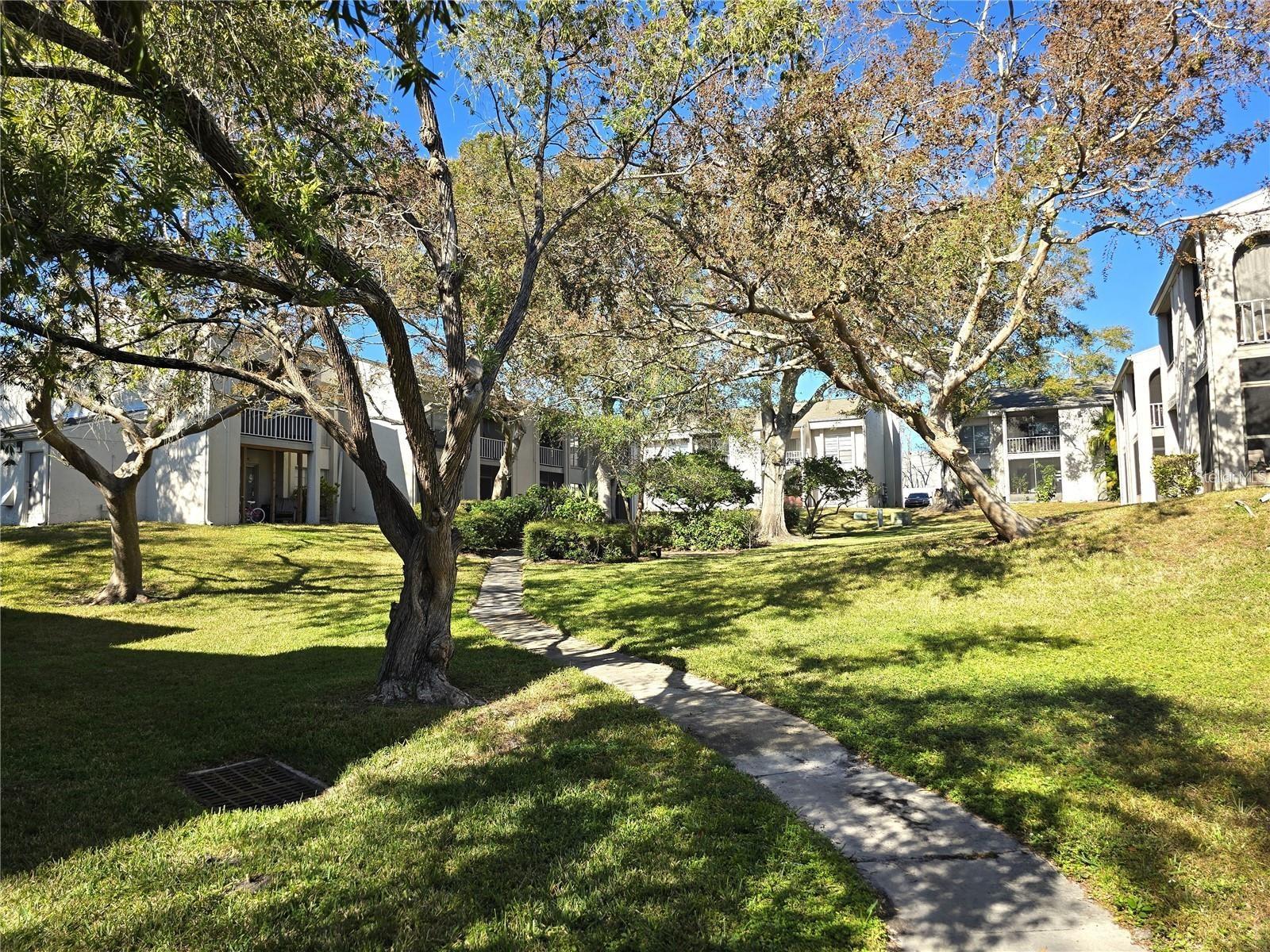 2625 STATE ROAD 590 #2413, CLEARWATER, FL, 33759