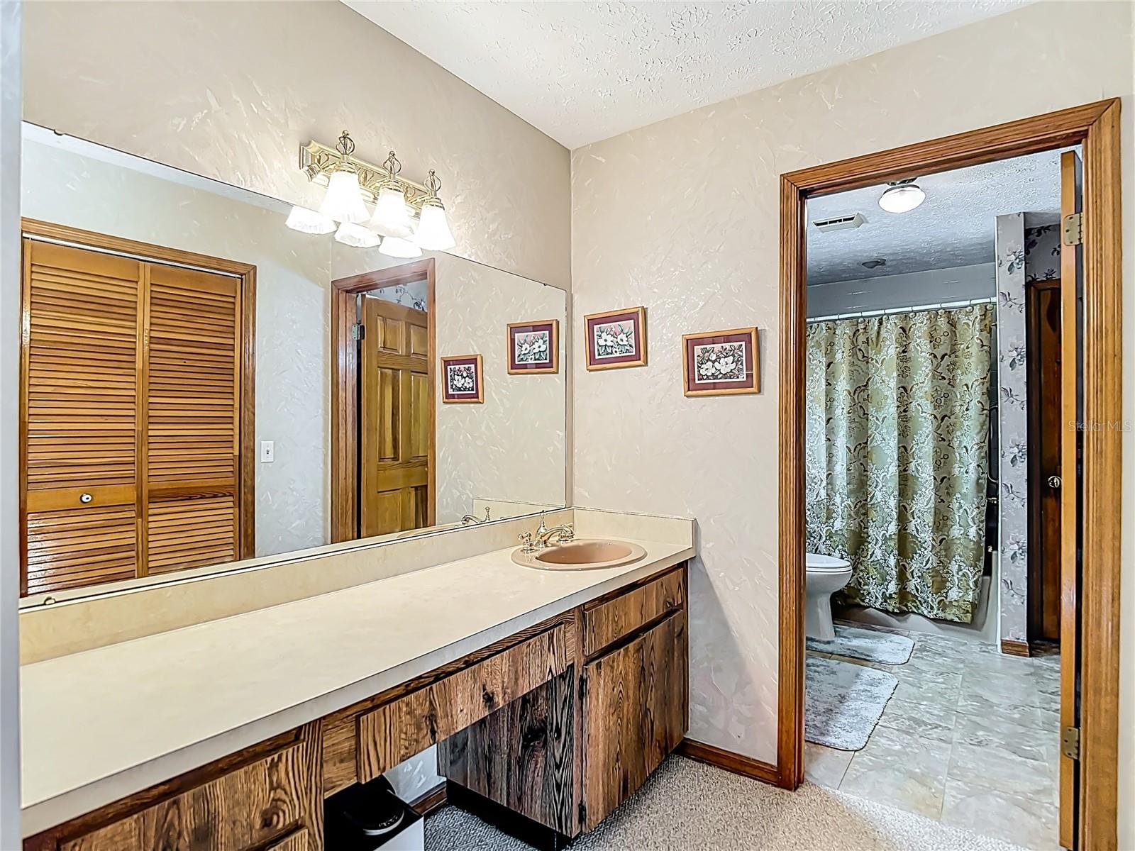 1004 MOOK ST, BRANDON, FL, 33510