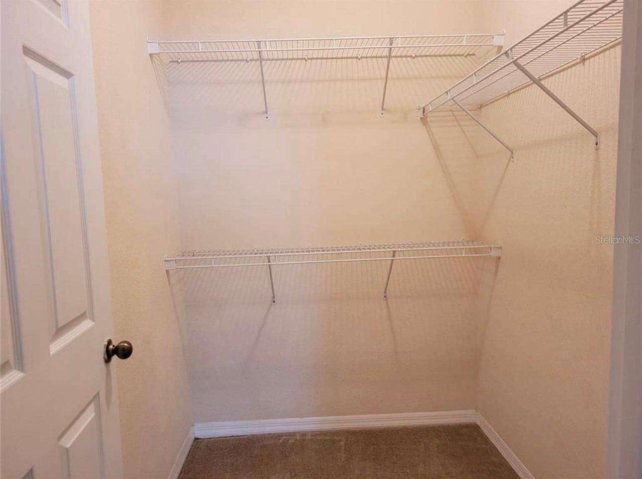 10213 COURTNEY PALMS BLVD #301, TAMPA, FL, 33619