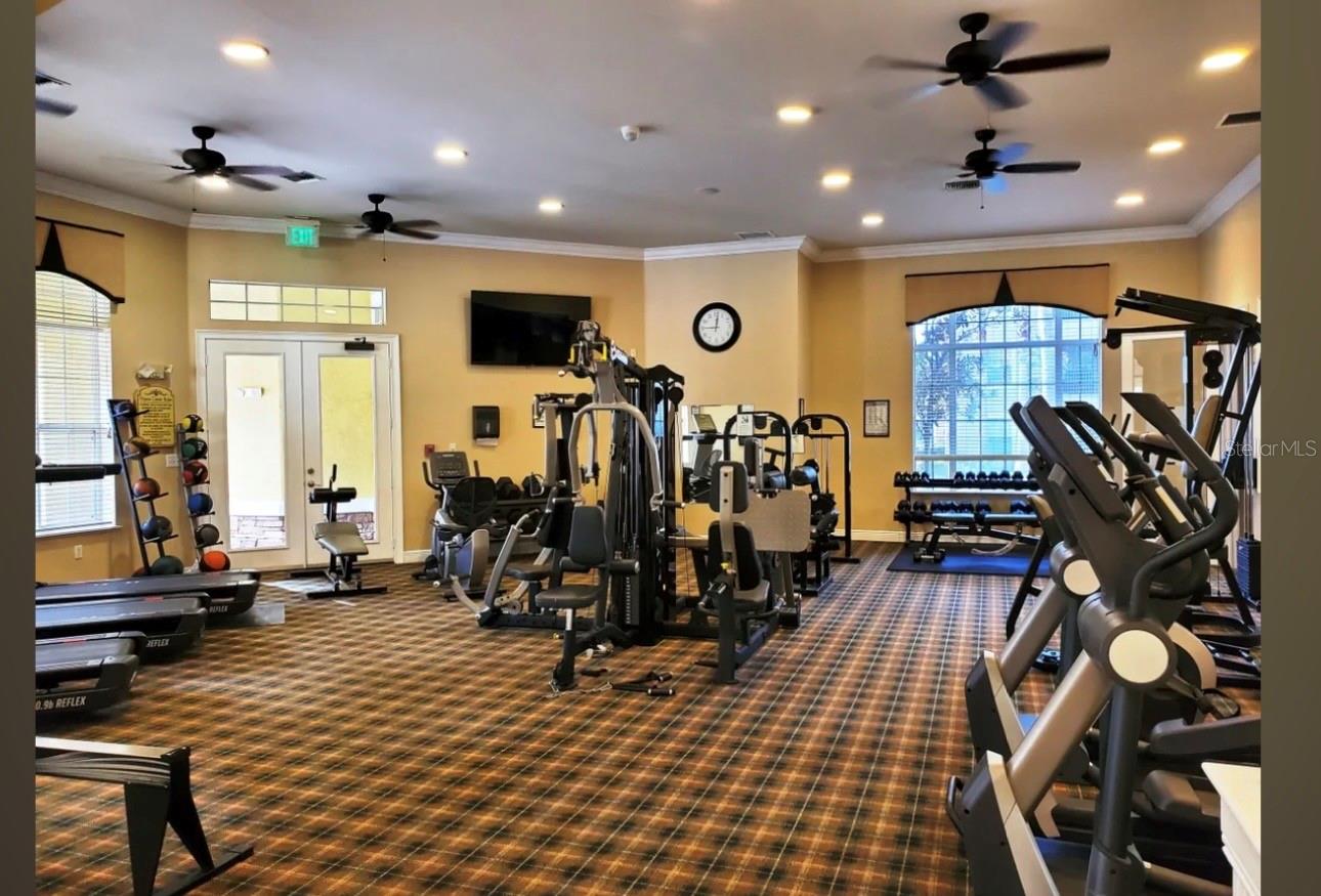 10213 COURTNEY PALMS BLVD #301, TAMPA, FL, 33619