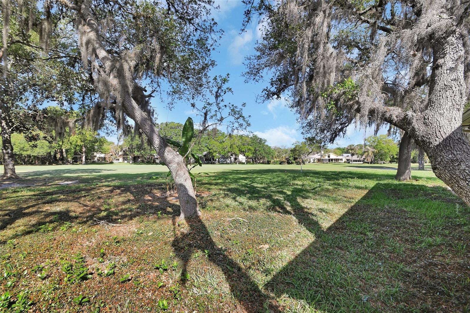 136 TURNBERRY CIR, NEW SMYRNA BEACH, FL, 32168