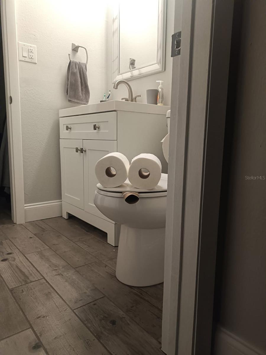 1147 KING ARTHUR CT #204, DUNEDIN, FL, 34698