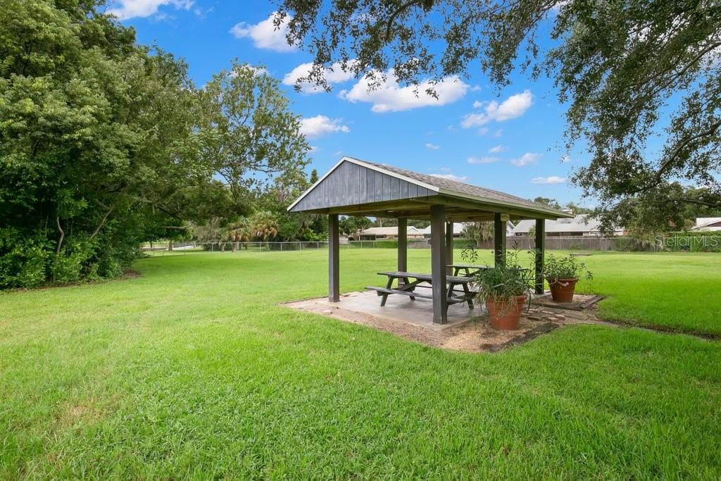 1147 KING ARTHUR CT #204, DUNEDIN, FL, 34698