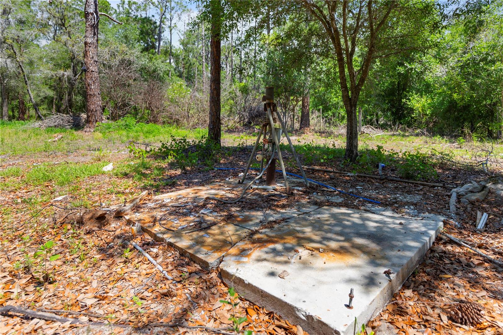 9121 FLORIDA BOYS RANCH RD, CLERMONT, FL, 34711