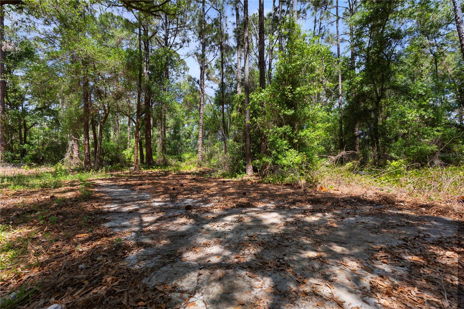 9121 FLORIDA BOYS RANCH RD, CLERMONT, FL, 34711