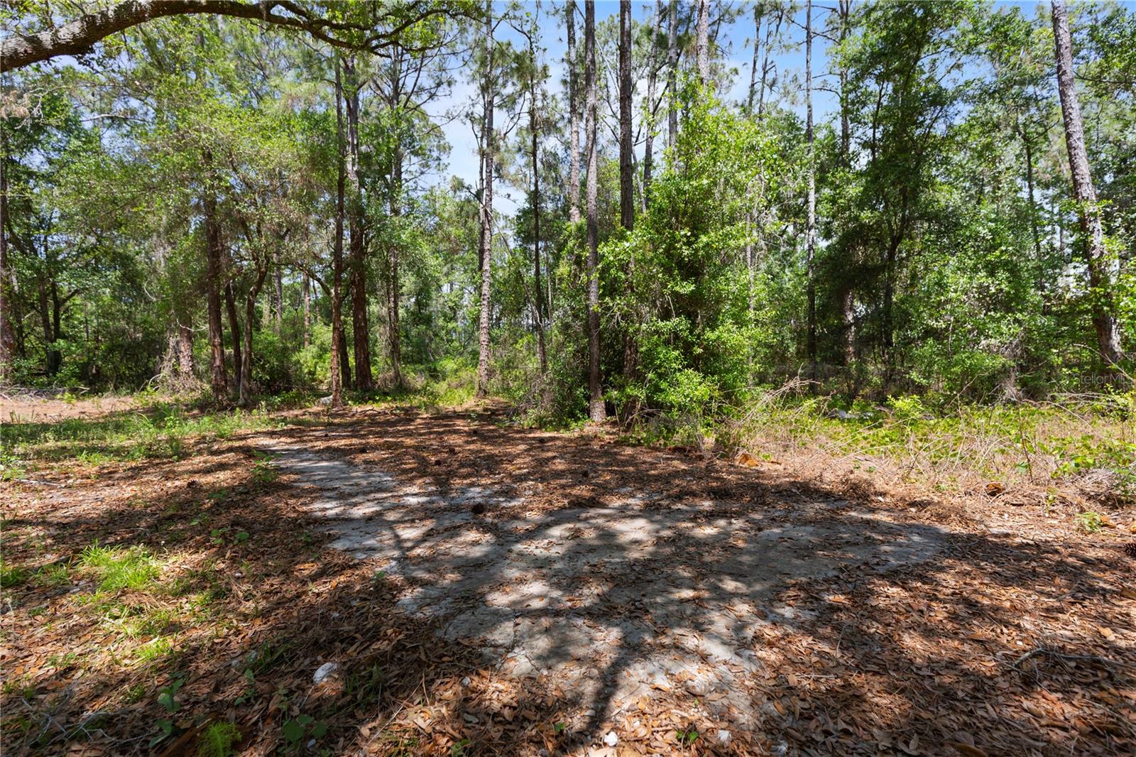 9121 FLORIDA BOYS RANCH RD, CLERMONT, FL, 34711