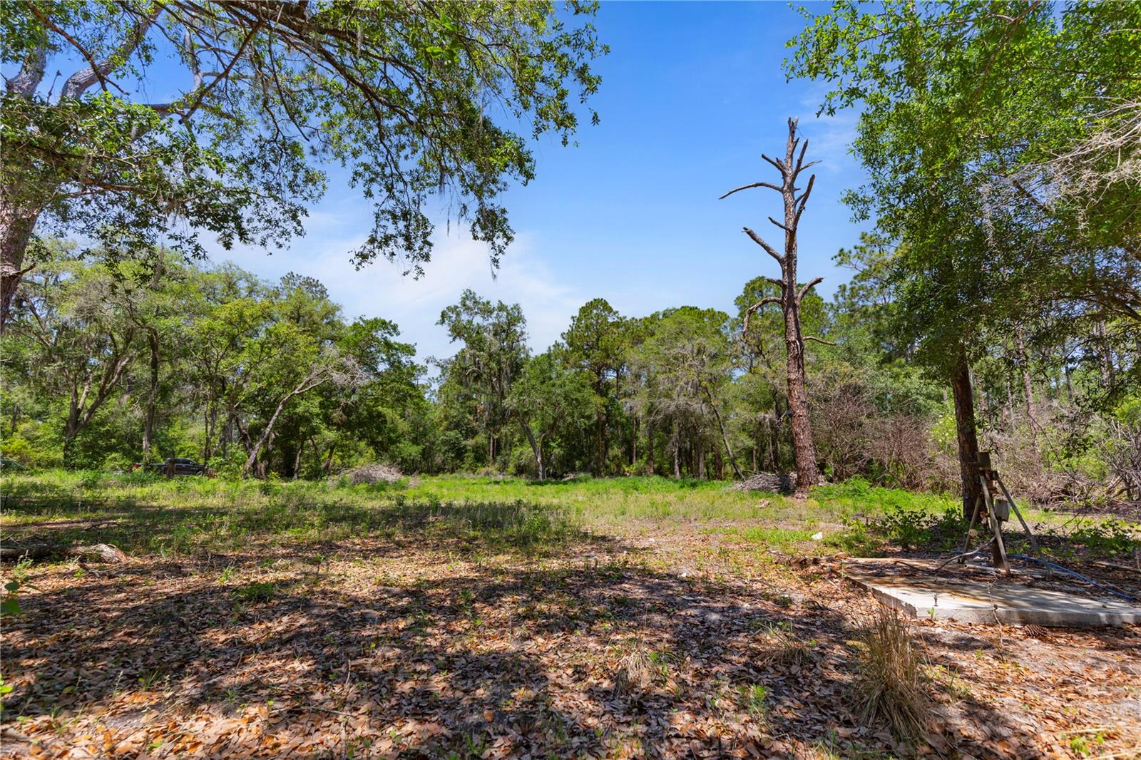 9121 FLORIDA BOYS RANCH RD, CLERMONT, FL, 34711