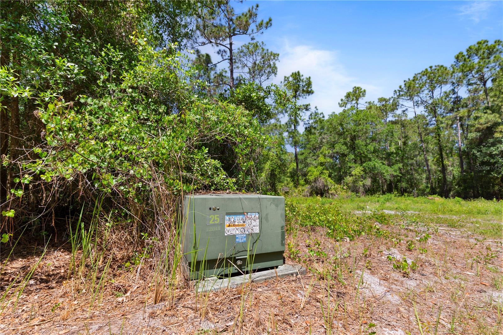 9121 FLORIDA BOYS RANCH RD, CLERMONT, FL, 34711