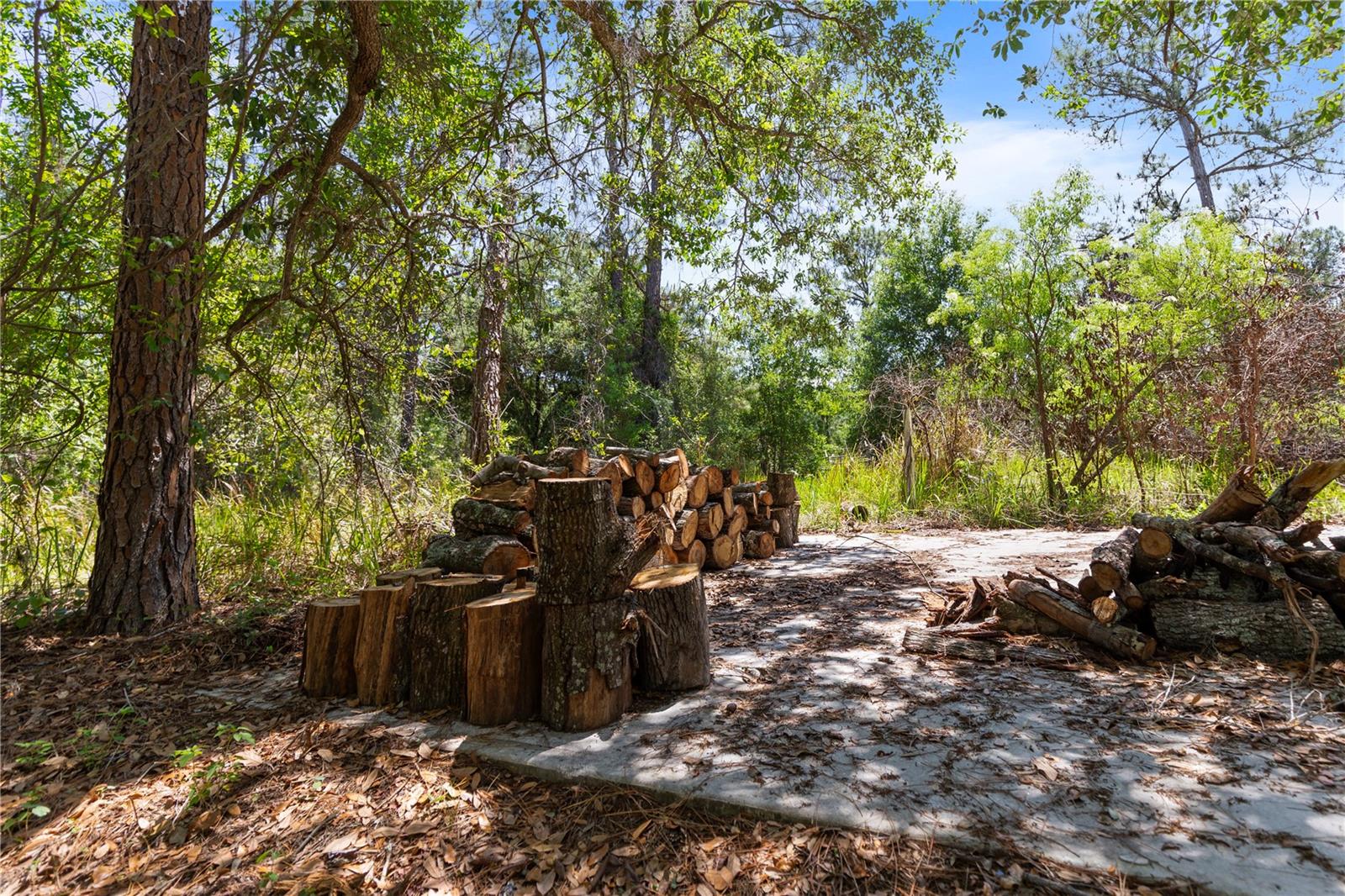 9121 FLORIDA BOYS RANCH RD, CLERMONT, FL, 34711