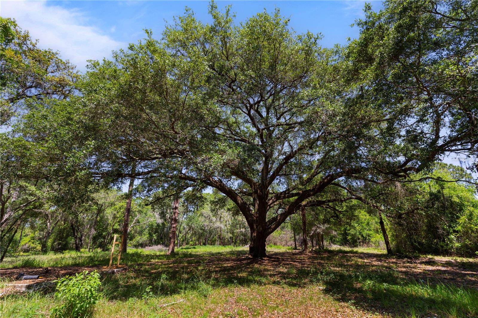 9121 FLORIDA BOYS RANCH RD, CLERMONT, FL, 34711