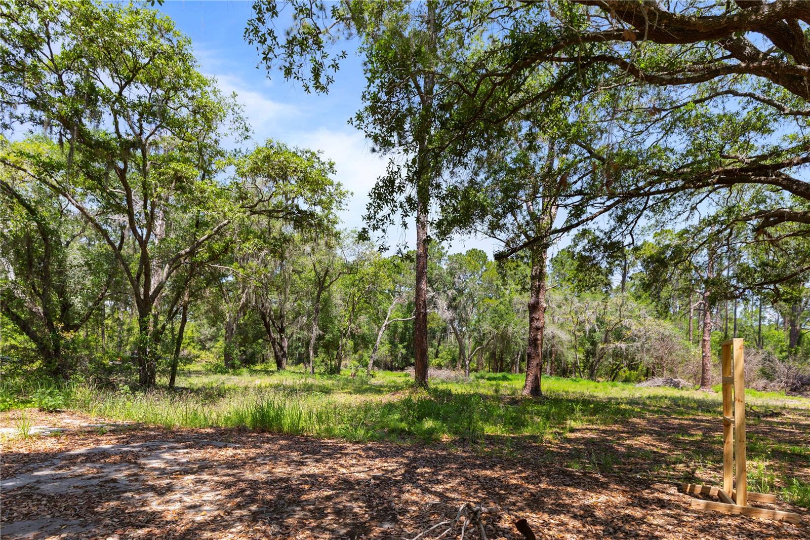 9121 FLORIDA BOYS RANCH RD, CLERMONT, FL, 34711