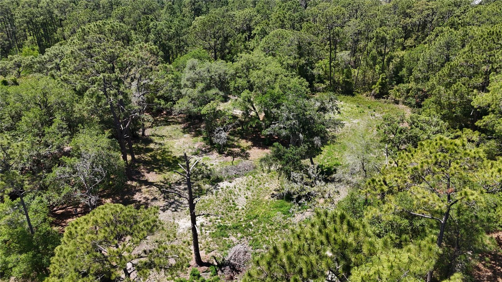 9121 FLORIDA BOYS RANCH RD, CLERMONT, FL, 34711