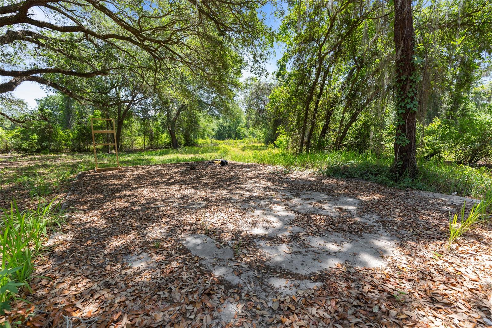 9121 FLORIDA BOYS RANCH RD, CLERMONT, FL, 34711