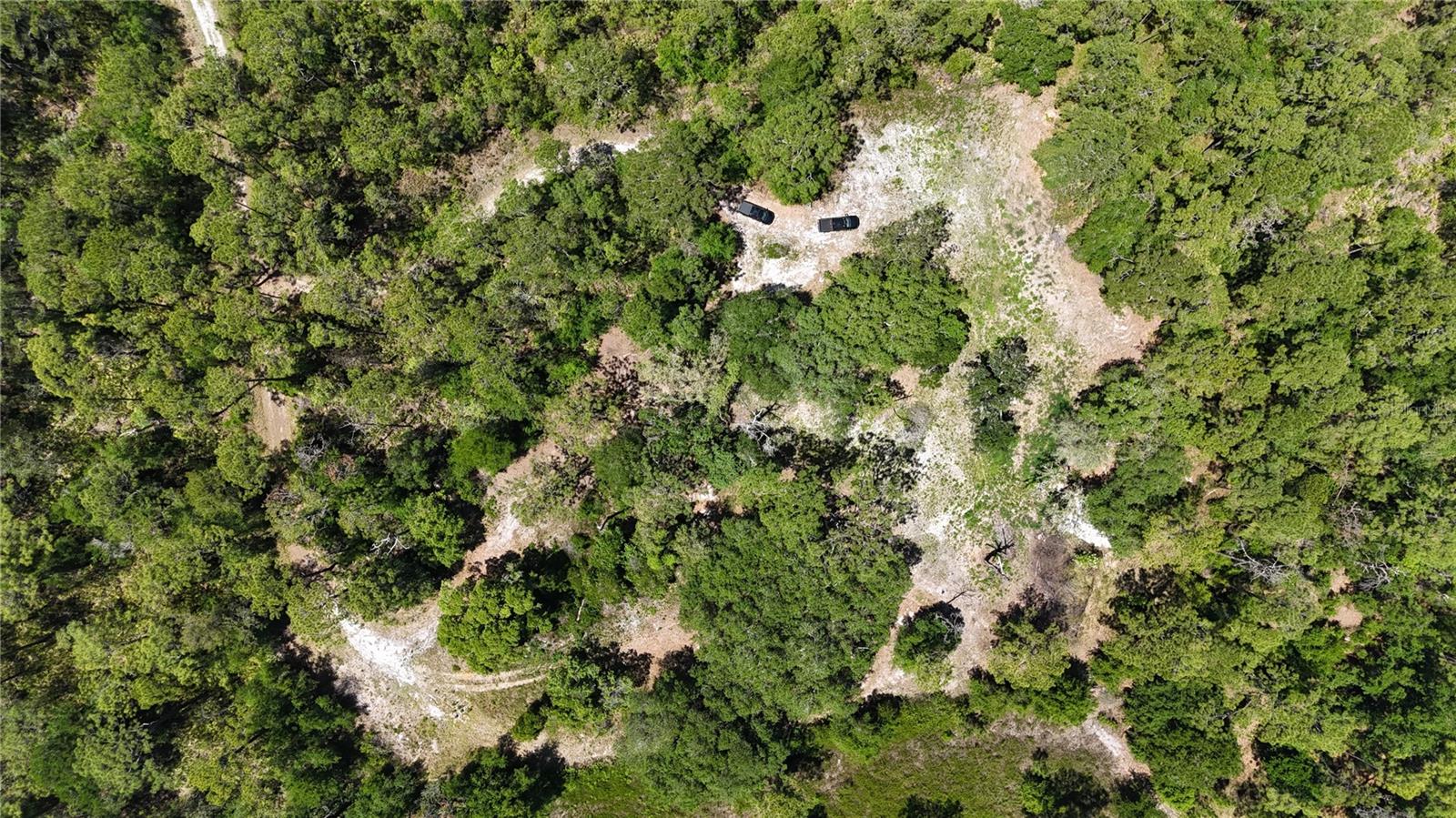 9121 FLORIDA BOYS RANCH RD, CLERMONT, FL, 34711