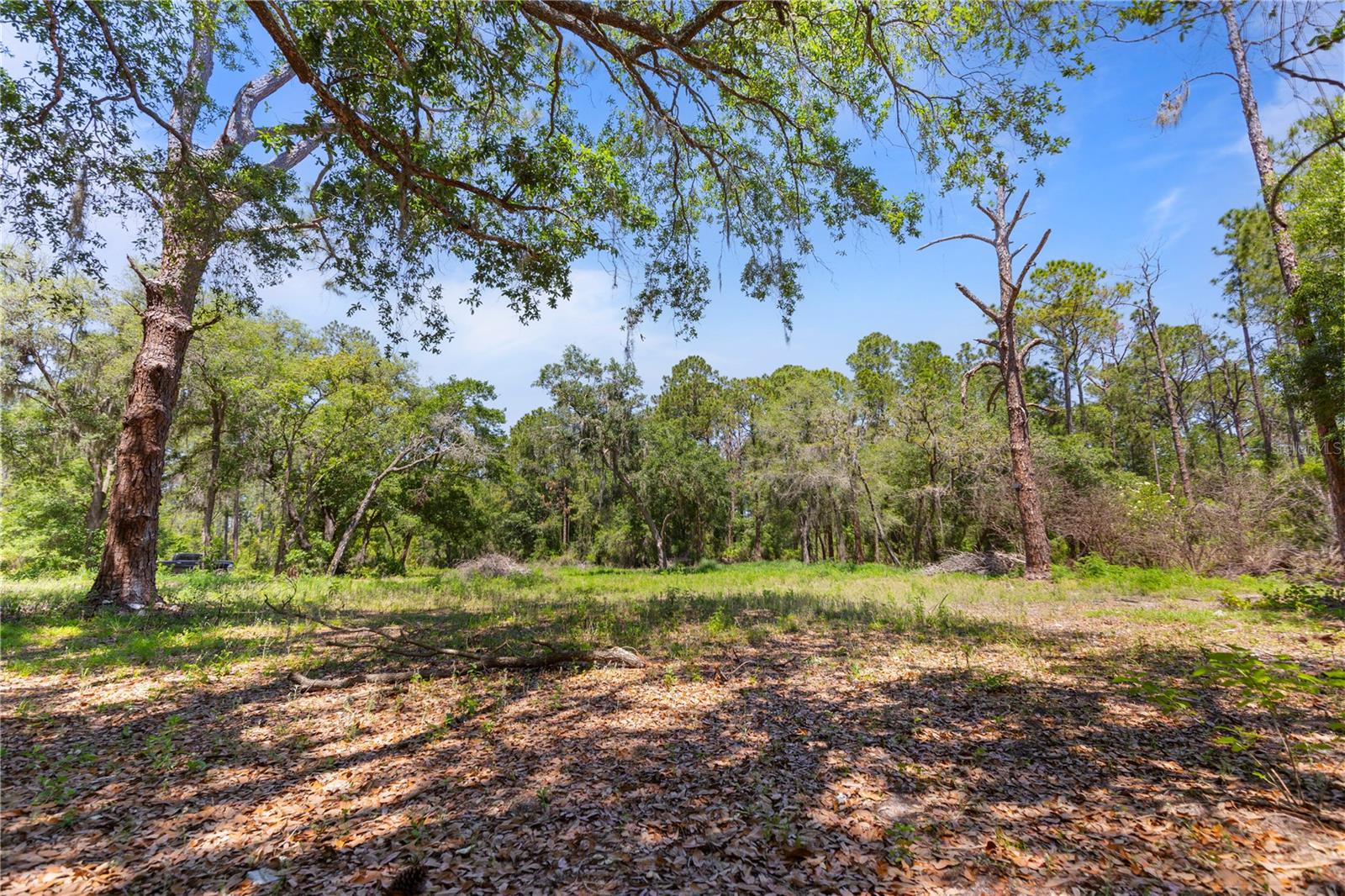 9121 FLORIDA BOYS RANCH RD, CLERMONT, FL, 34711