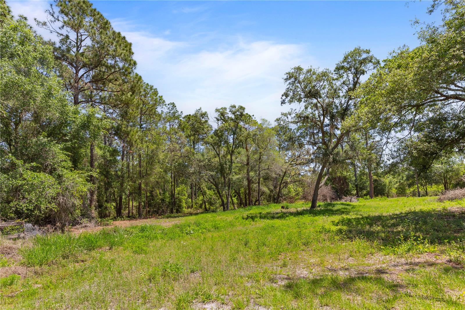 9121 FLORIDA BOYS RANCH RD, CLERMONT, FL, 34711