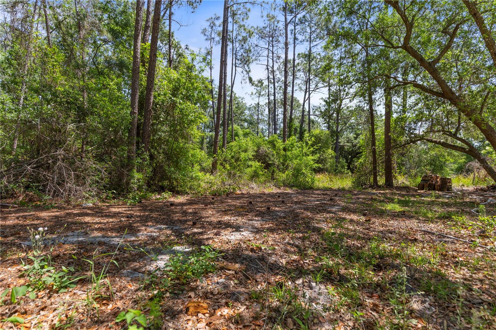 9121 FLORIDA BOYS RANCH RD, CLERMONT, FL, 34711